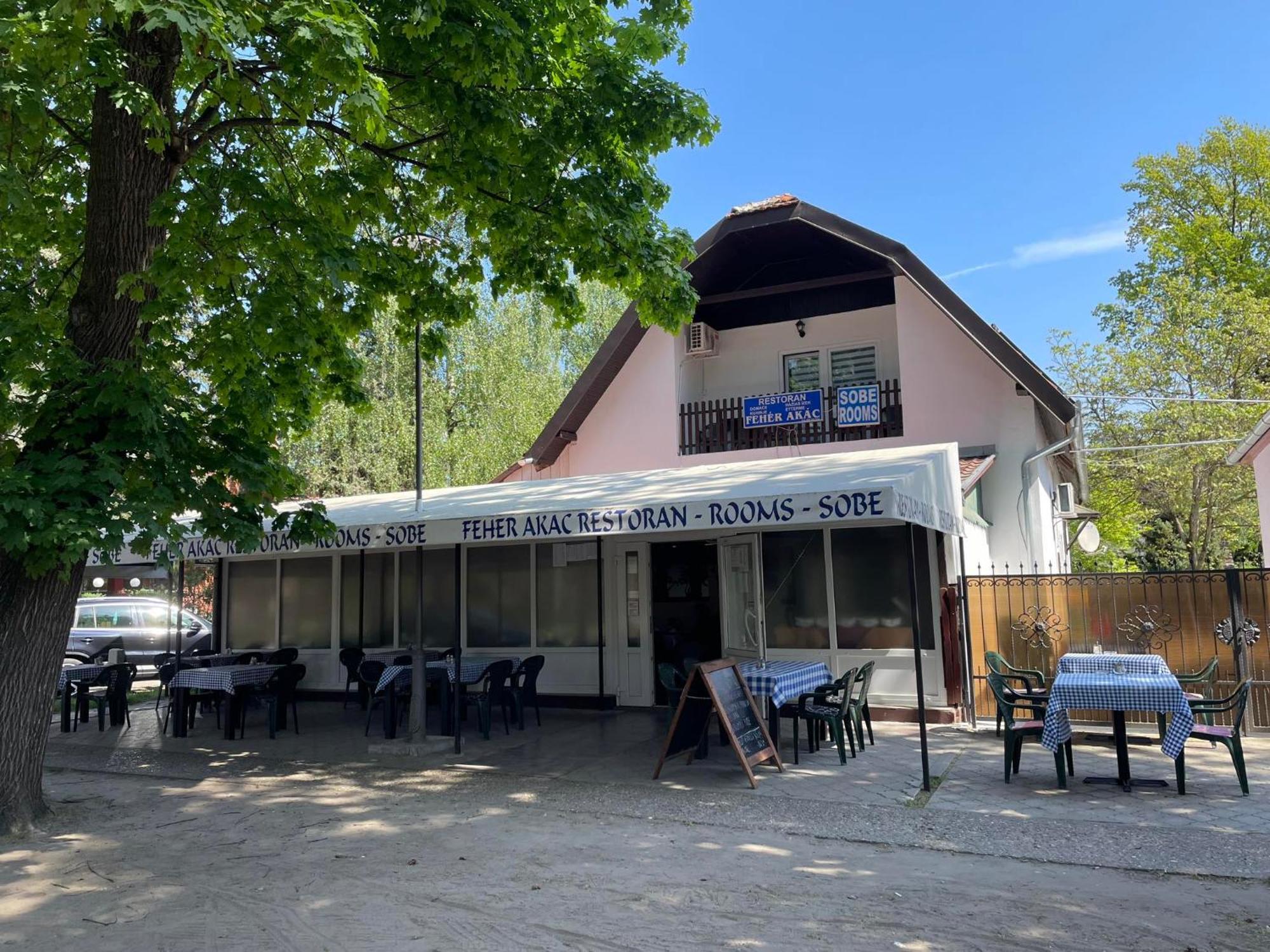Feher Akac Guest House Palić Eksteriør billede
